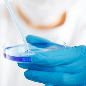 规范、品控管理